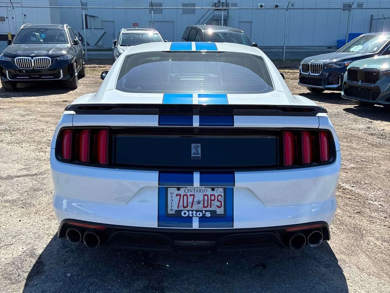 Ford Mustang SHELBY * ГЛАВНО ПРЕДСТАВИТЕЛСТВО НА BMW* , снимка 5 - Автомобили и джипове - 55047206