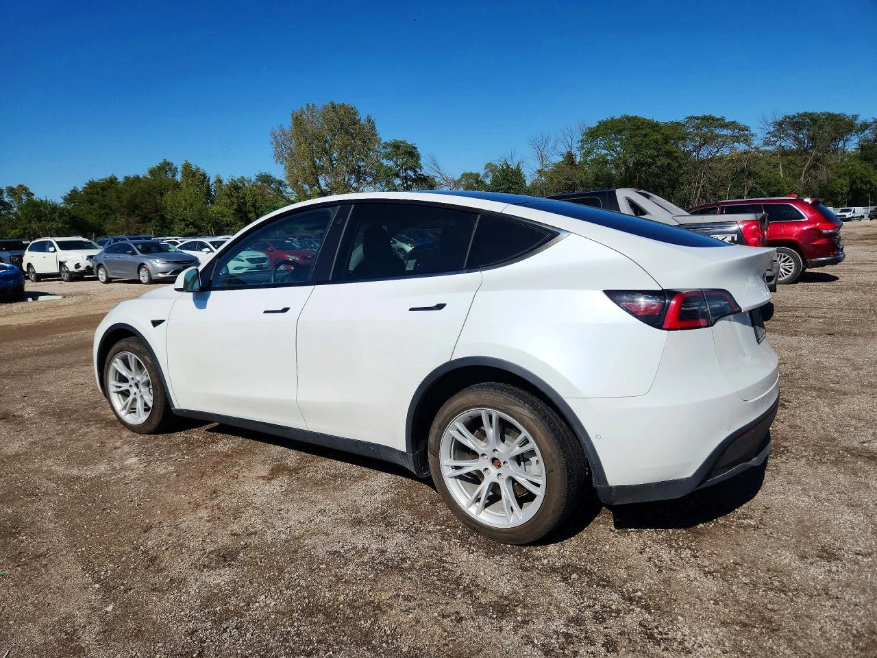 Tesla Model Y, снимка 2 - Автомобили и джипове - 56375071