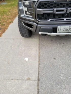 Ford F150 | Mobile.bg � ����� ������ 8