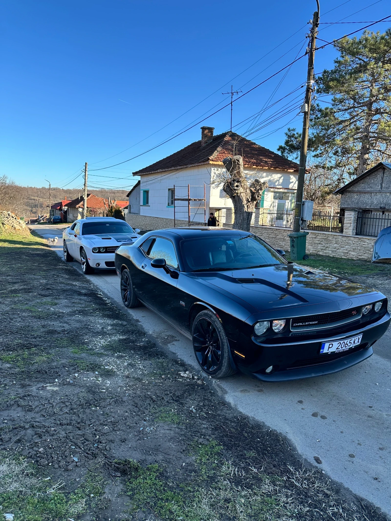 Dodge Challenger 5.7, снимка 5 - Автомобили и джипове - 55642609
