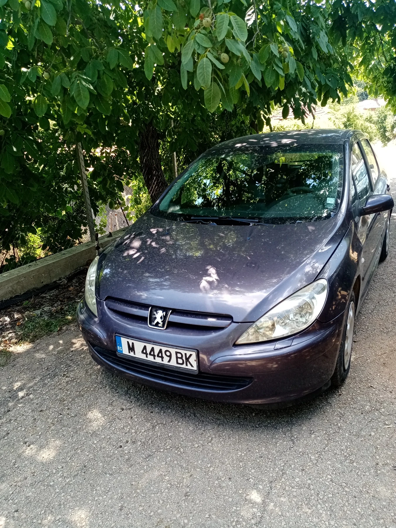 Peugeot 307 Хечбег