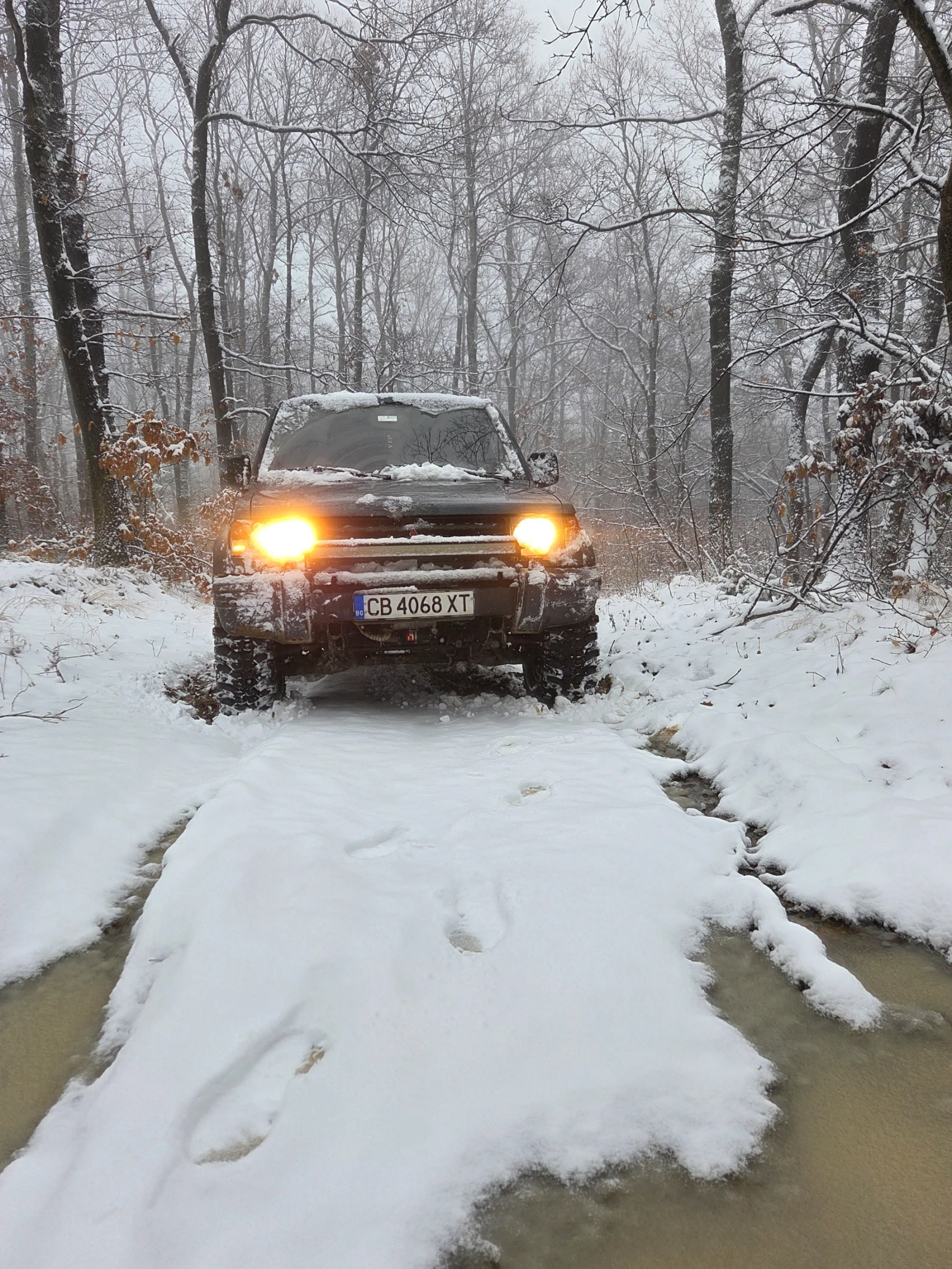 Mitsubishi Pajero 3000v6 - изображение 2