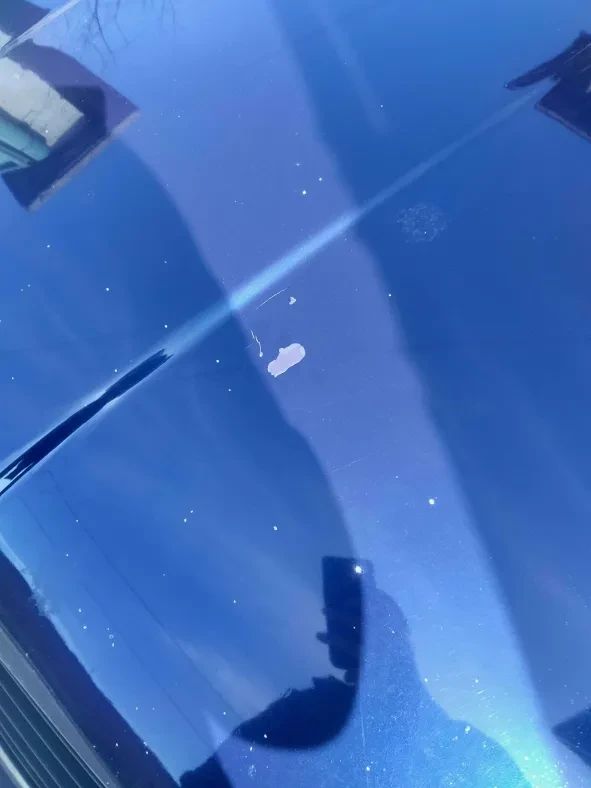 Seat Toledo 1.9 TDI AHF, снимка 14 - Автомобили и джипове - 53407712