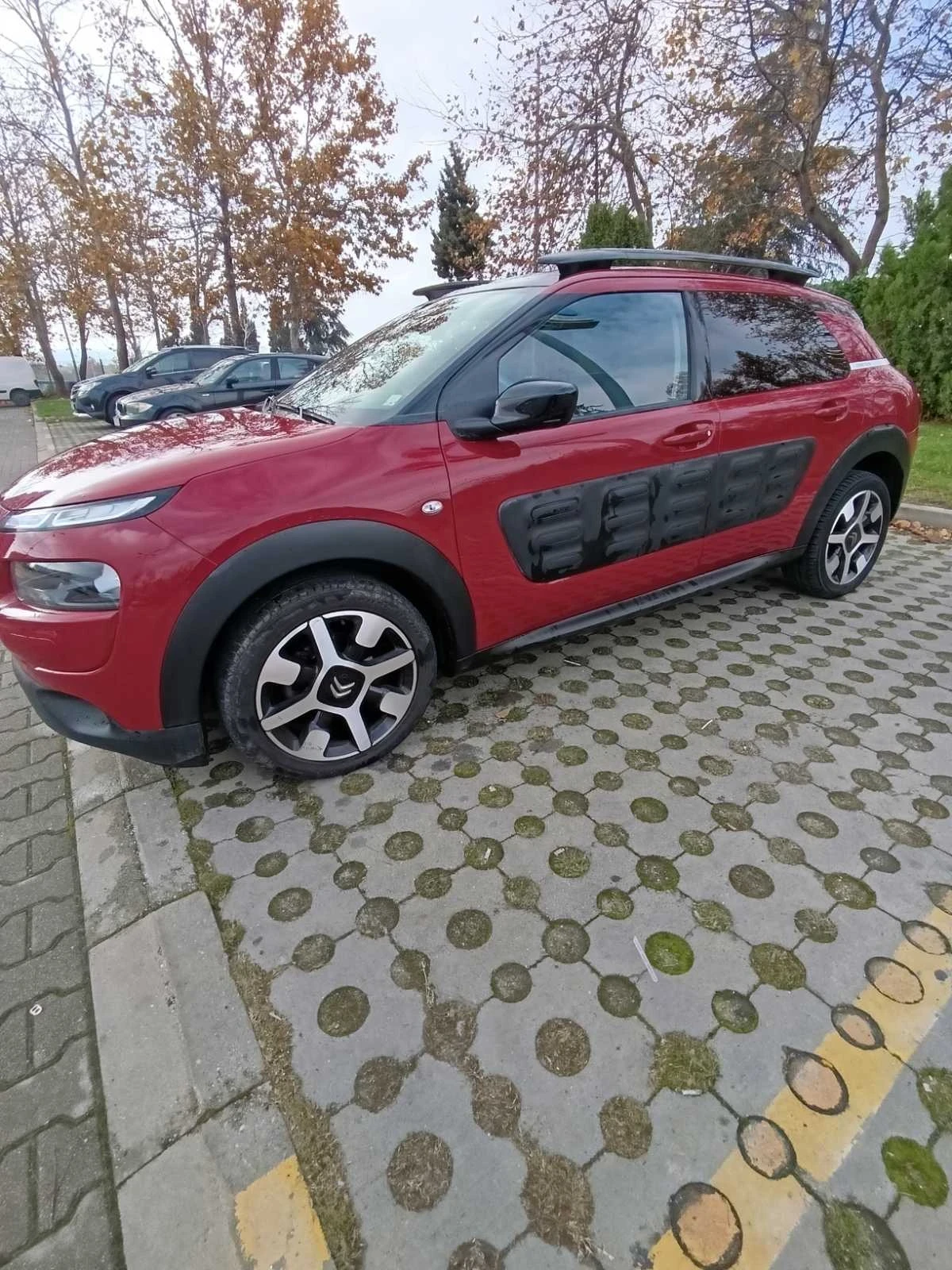 Citroen C4 Cactus  - изображение 5