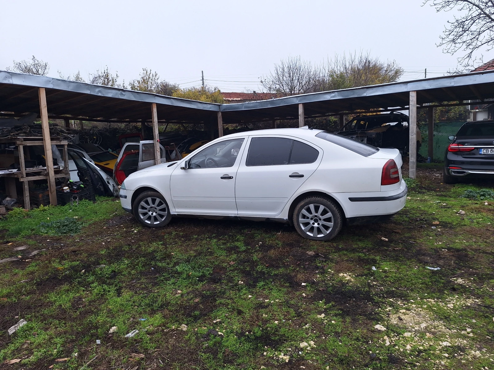 Skoda Octavia .  | Mobile.bg   1