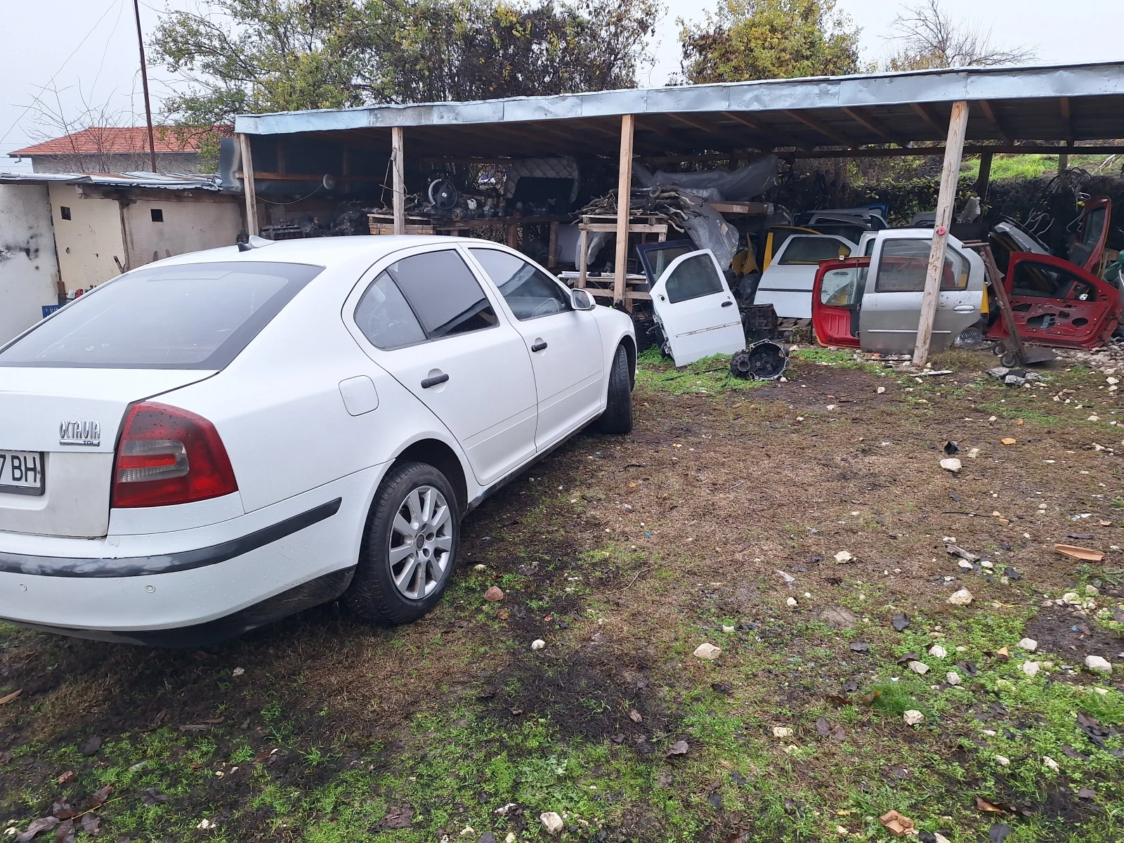 Skoda Octavia .  | Mobile.bg   3