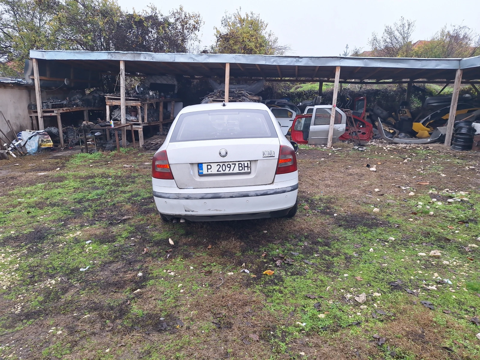 Skoda Octavia .  | Mobile.bg   2