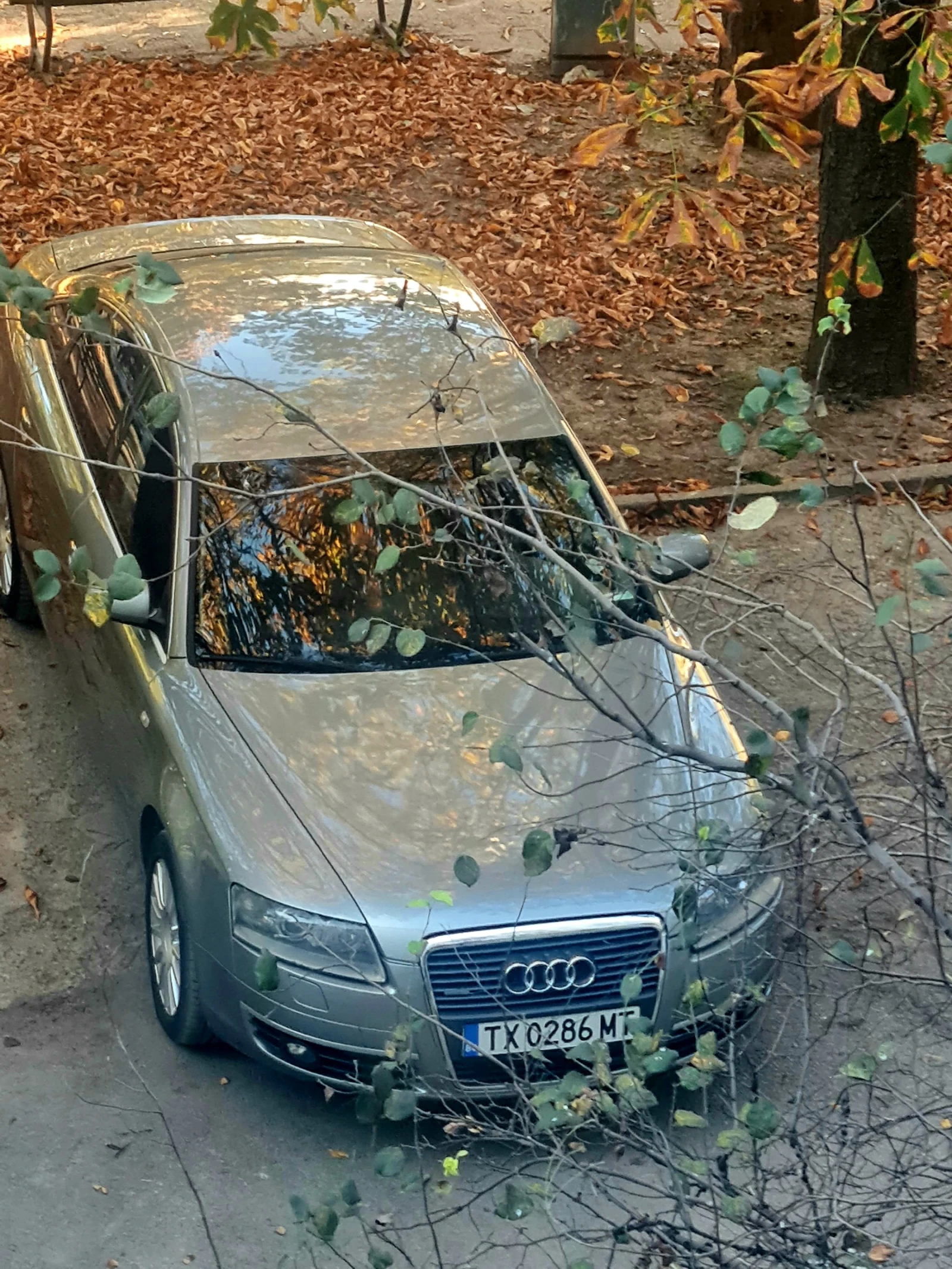 Audi A6  - изображение 5