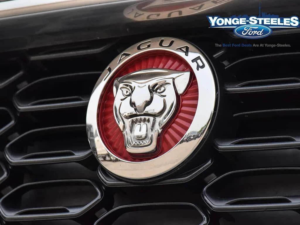 Jaguar F-Type Convertible P300 Auto  CARFAX, снимка 2 - Автомобили и джипове - 53720678