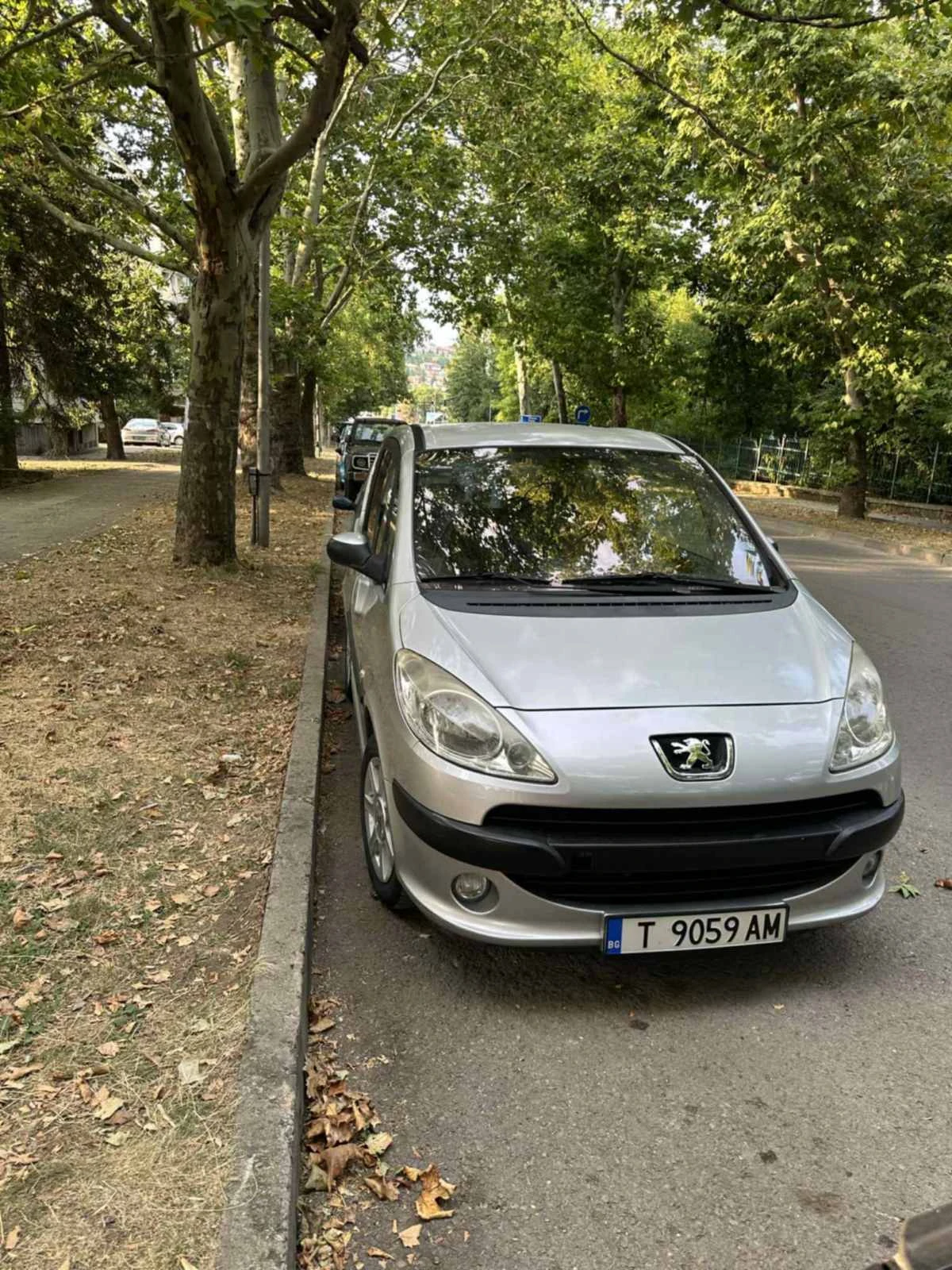 Peugeot 1007, снимка 1
