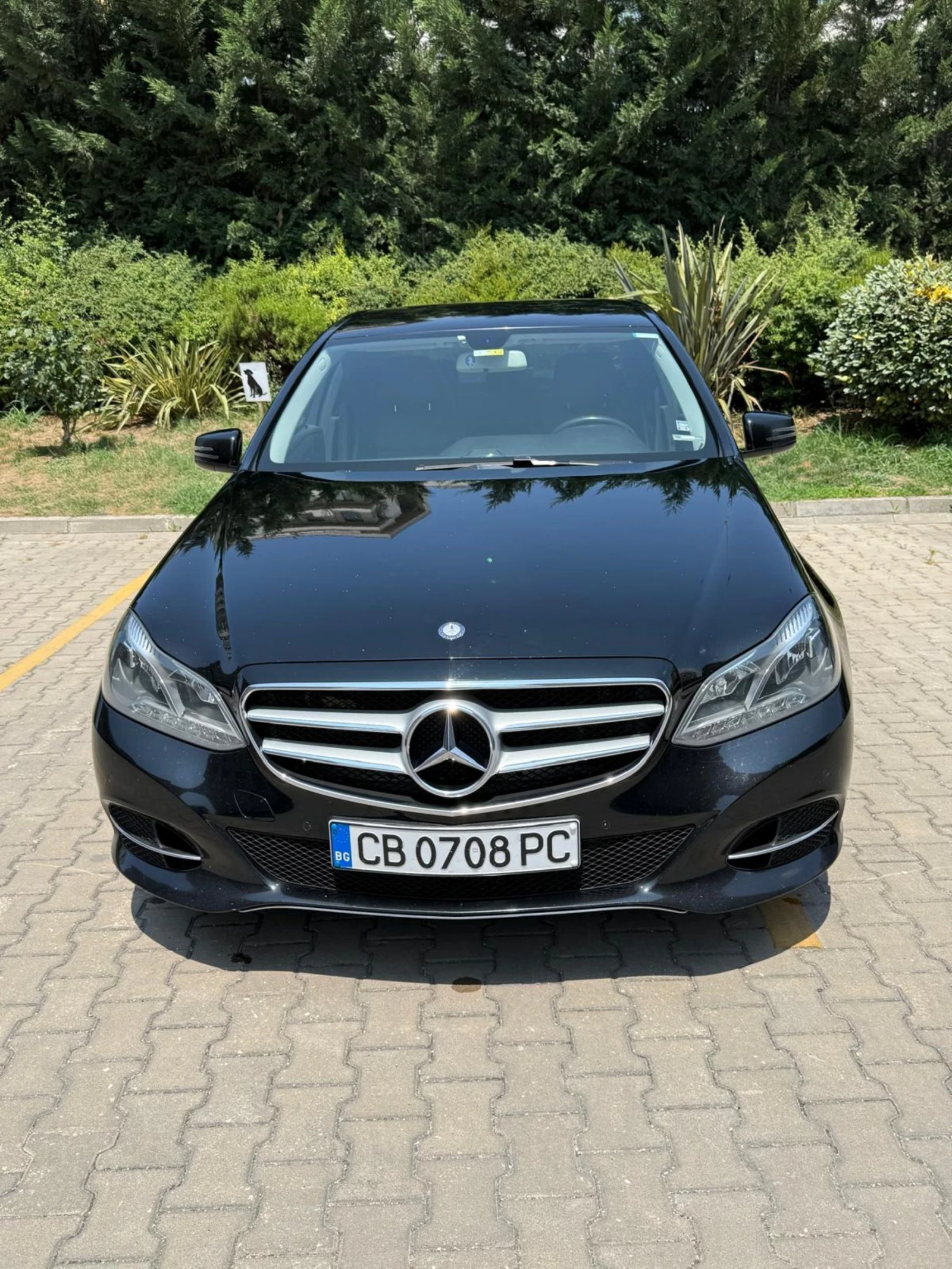 Mercedes-Benz E 220 Avangarde  | Mobile.bg — изображение 11
