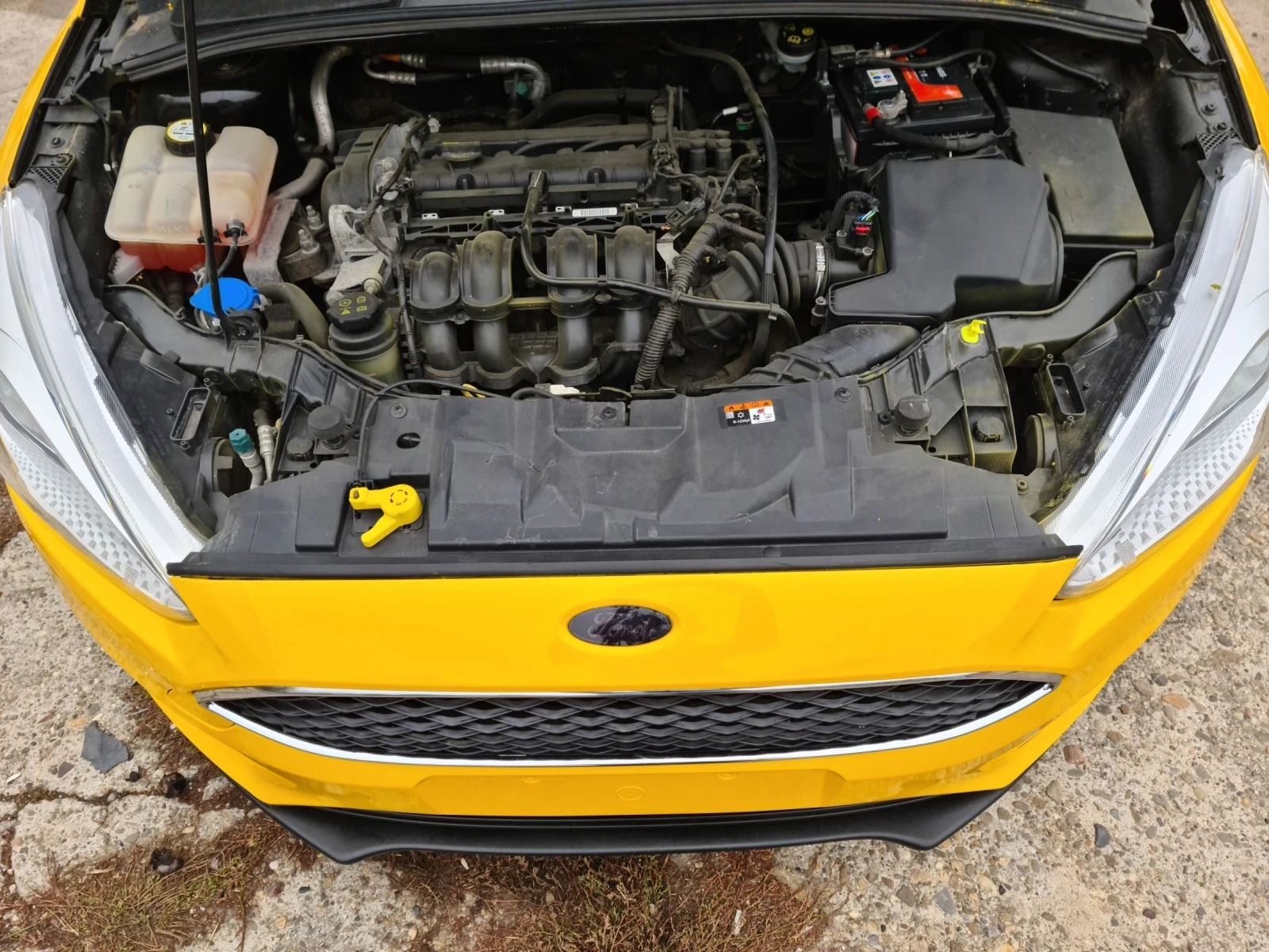 Ford Focus 1.6i / СТАВА НА ГАЗ, снимка 10 - Автомобили и джипове - 56644677
