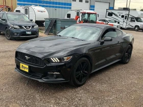 Ford Mustang EcoBoost Premium * CARFAX * ����/����������� | Mobile.bg � ����� ������ 2