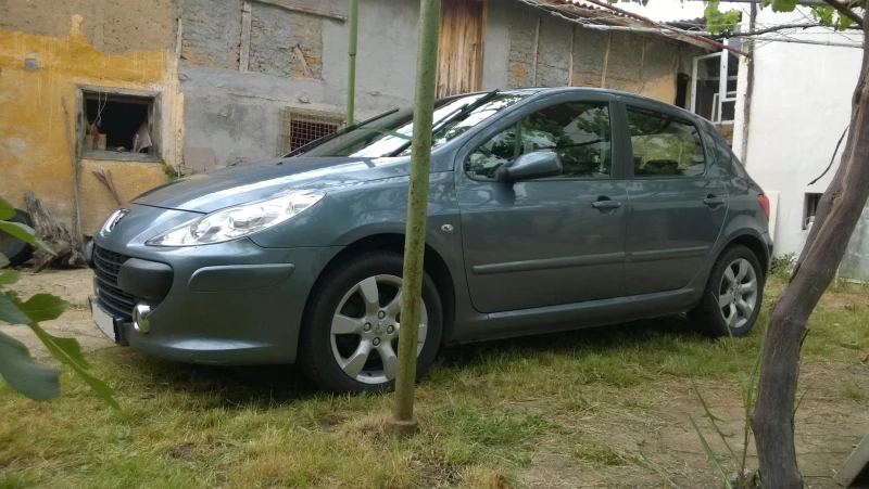 Peugeot 307 HDi, снимка 4 - Автомобили и джипове - 48962293