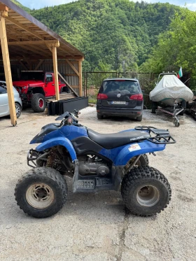 Polaris Phoenix Polaris Phoenix 200, снимка 2