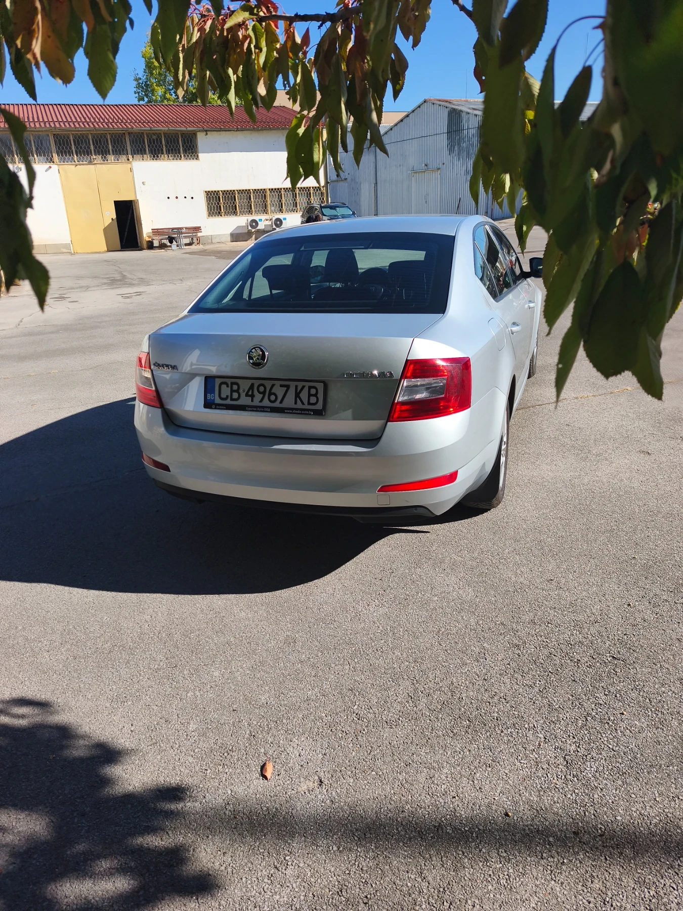 Skoda Octavia, снимка 4 - Автомобили и джипове - 56356656