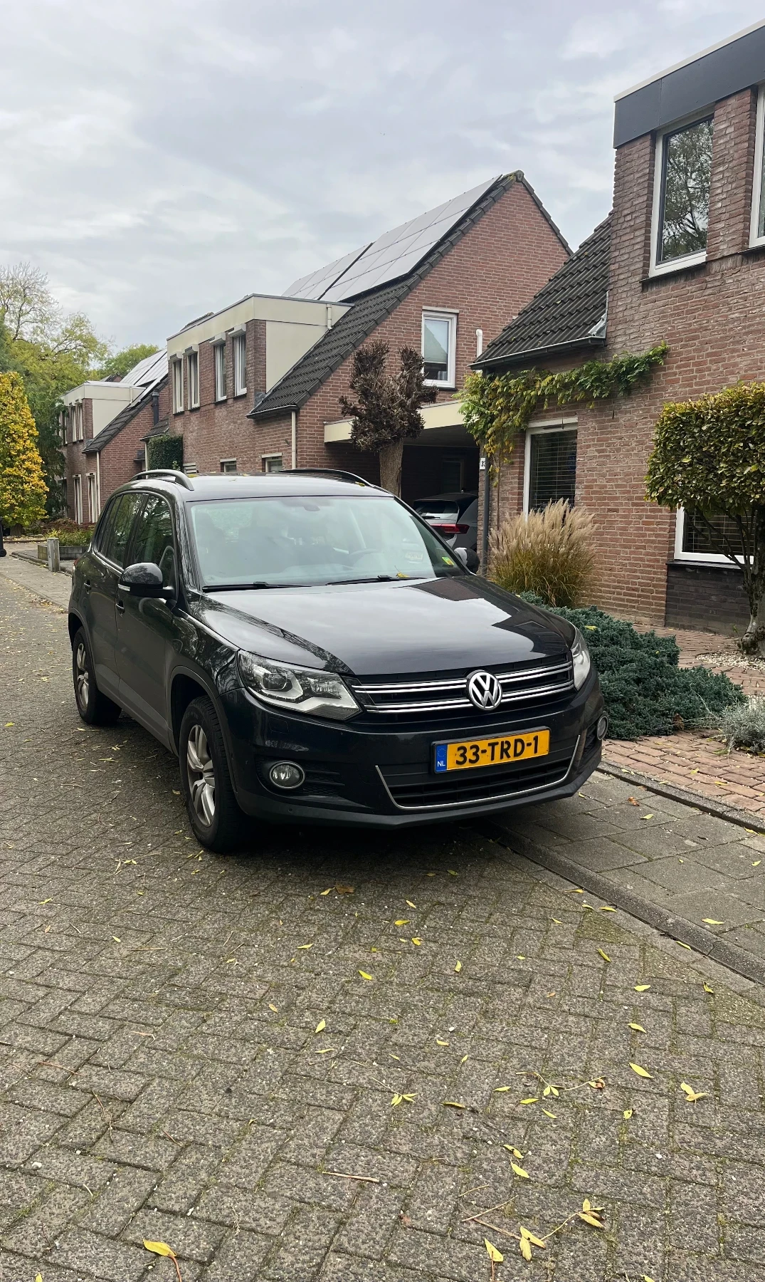 VW Tiguan Track & Field BlueMotion Techn DSG4x4, снимка 1