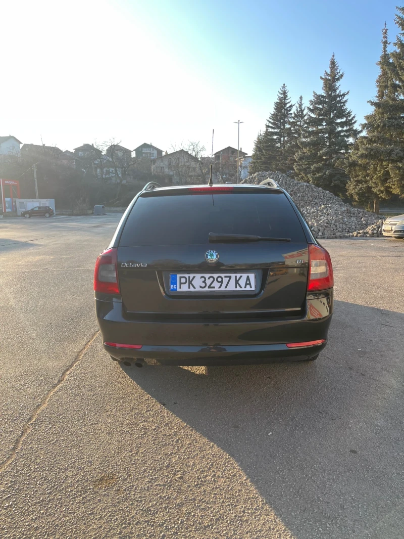 Skoda Octavia, снимка 4 - Автомобили и джипове - 48982591