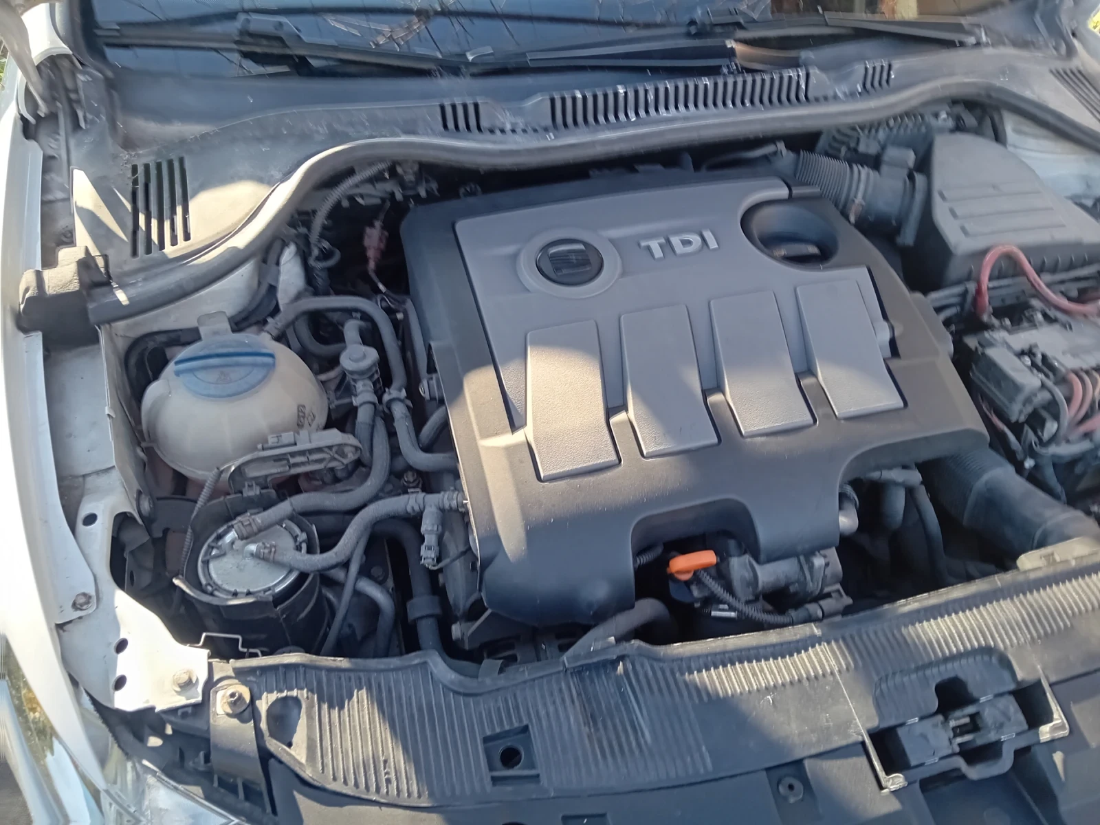Seat Ibiza  - изображение 6