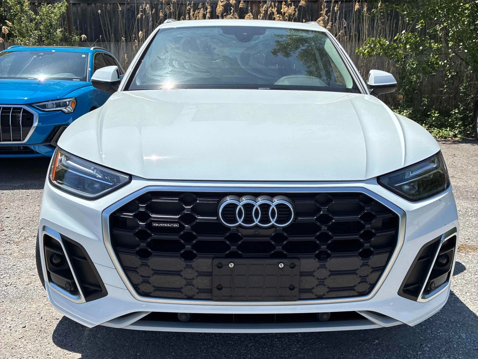 Audi Q5 * Progressiv * CARFAX * , снимка 6 - Автомобили и джипове - 56046377