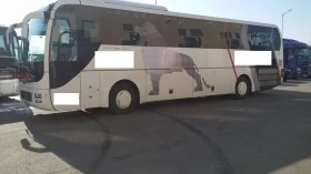 Man Lion S Classic Lions Coach | Mobile.bg    1