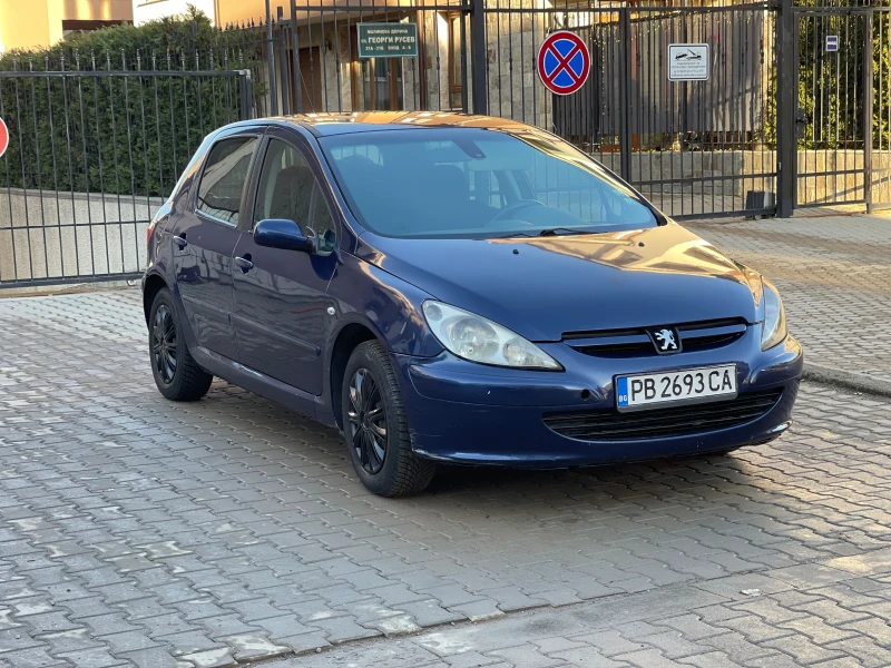 Peugeot 307 2.0, снимка 2 - Автомобили и джипове - 48618194