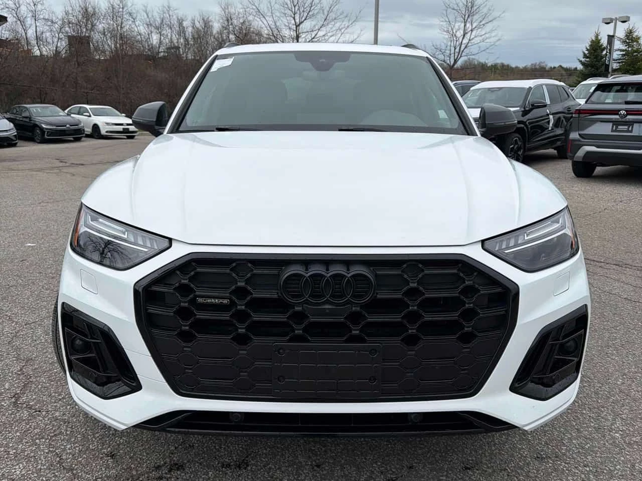 Audi Q5 Technik  CARFAX, снимка 6 - Автомобили и джипове - 54369738