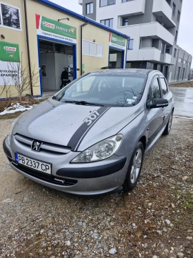  Peugeot 307