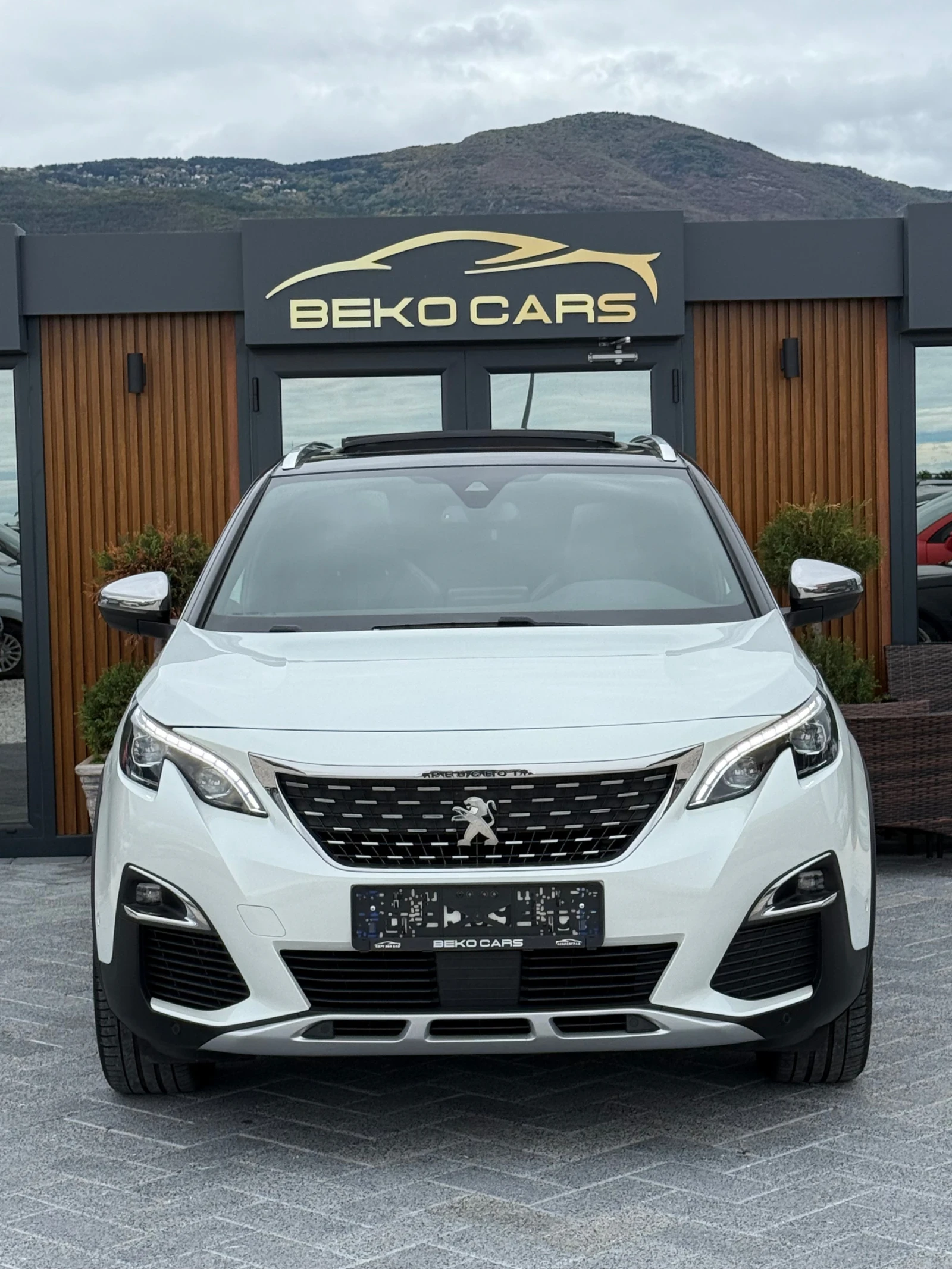 Peugeot 3008 Без аналог! - изображение 2