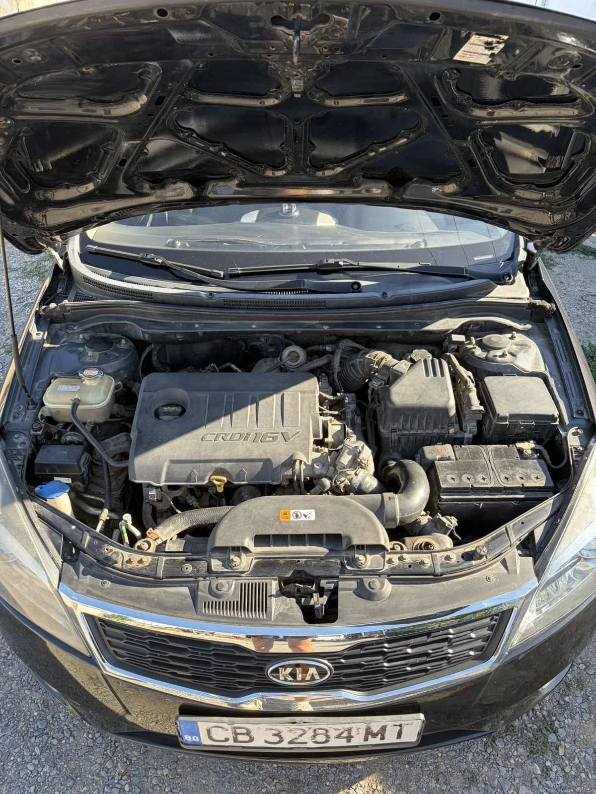 Kia Ceed FACE LIFT 117кс. 2010, снимка 16 - Автомобили и джипове - 55688487