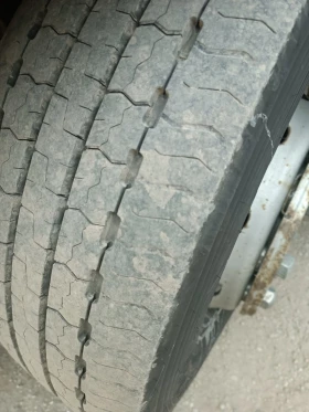 Man Tgx 480 MEGA !!! | Mobile.bg    6