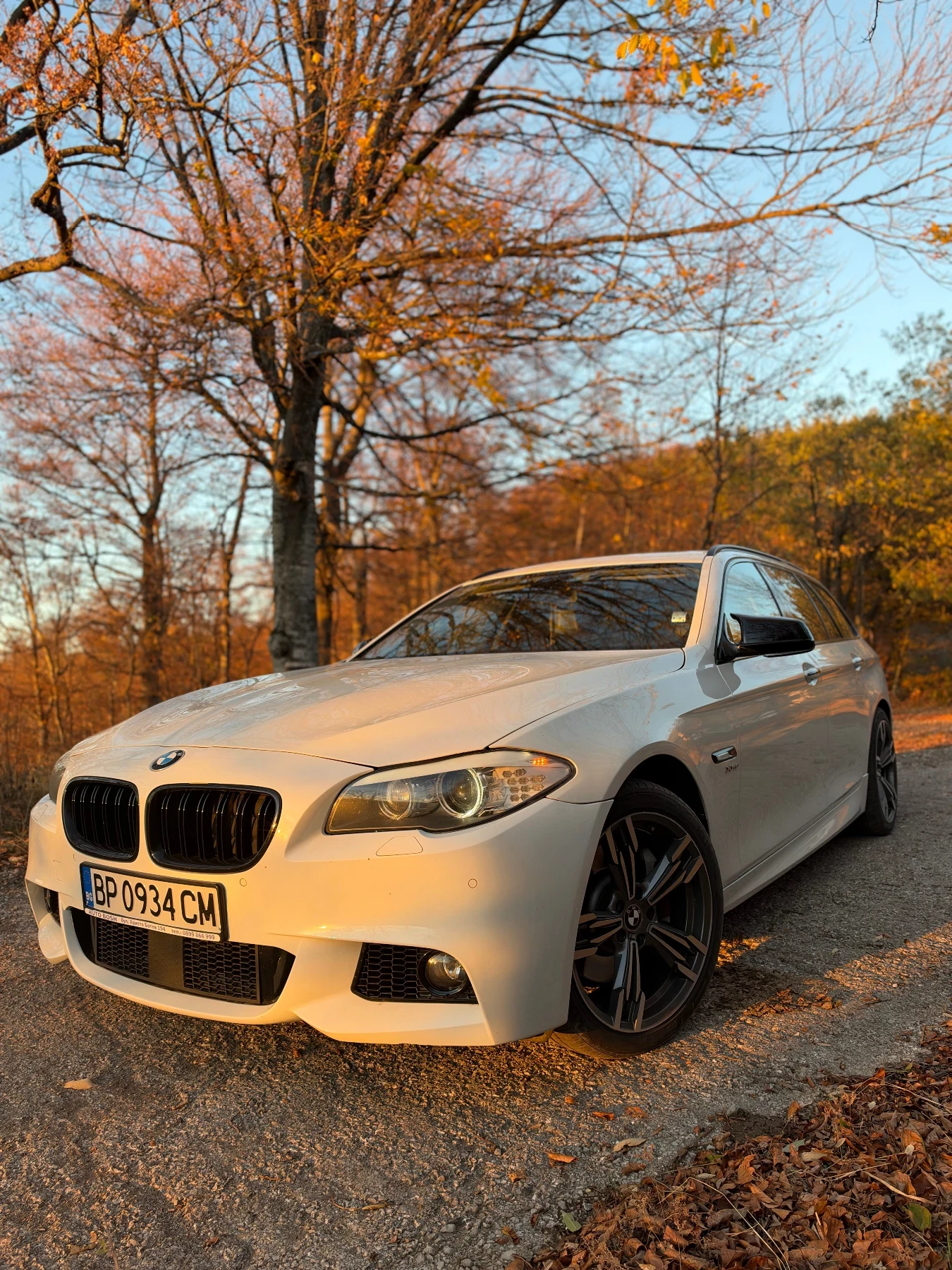 BMW 530 BMW 530d xDrive F11 | 2011 г. | M пакет | 258 к.с.