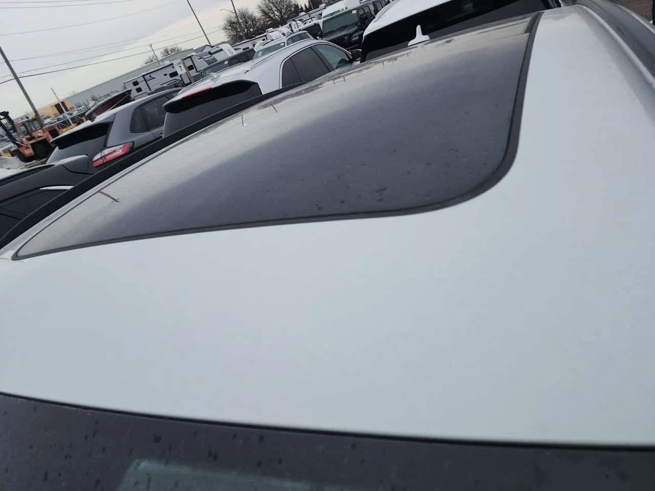 Audi SQ5 TECHNIK | PANO | B&O | ПОДГРЕВИ | CARFAX, снимка 7 - Автомобили и джипове - 53737197