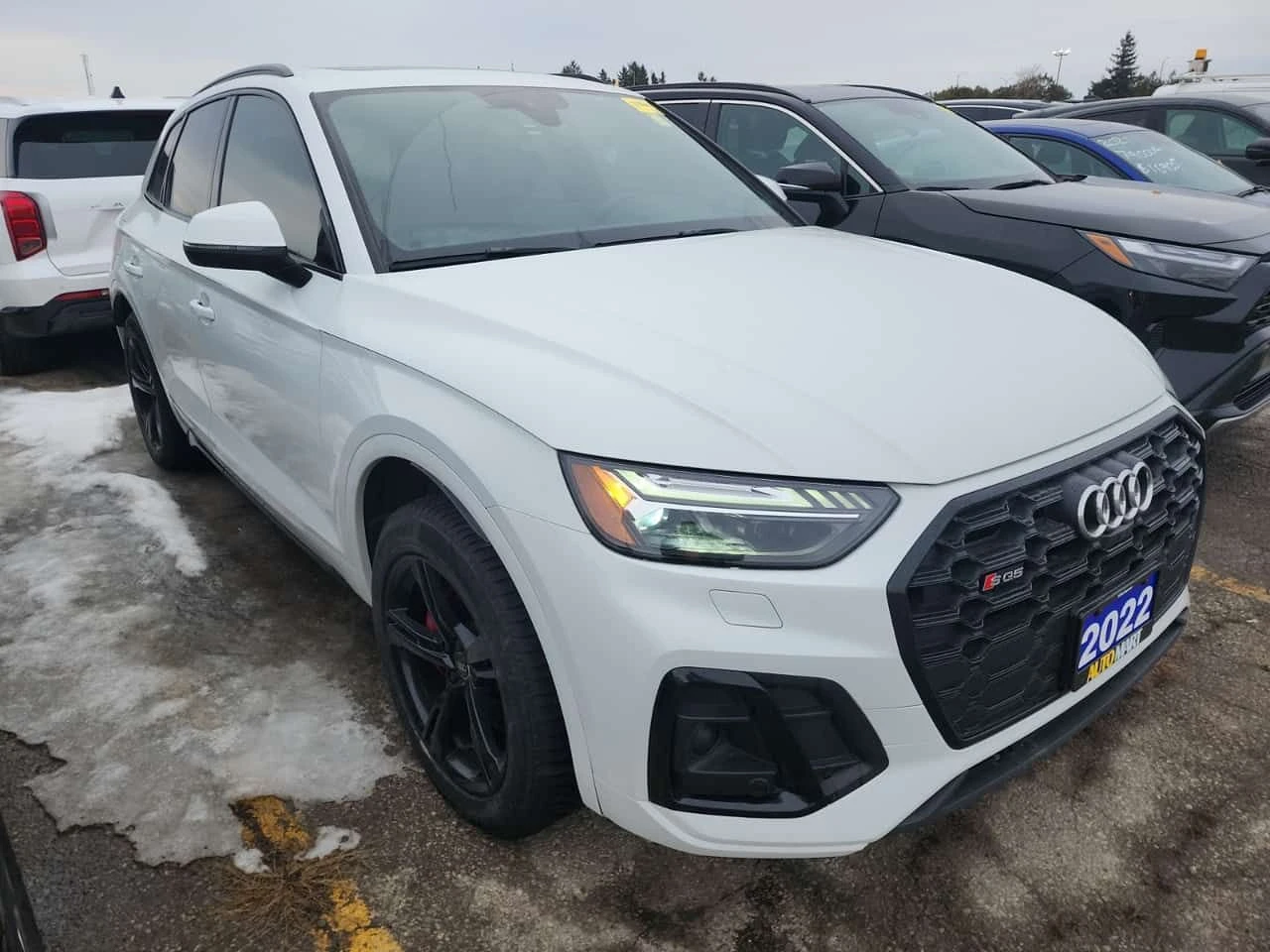 Audi SQ5 TECHNIK | PANO | B&O | ПОДГРЕВИ | CARFAX, снимка 2 - Автомобили и джипове - 53737197