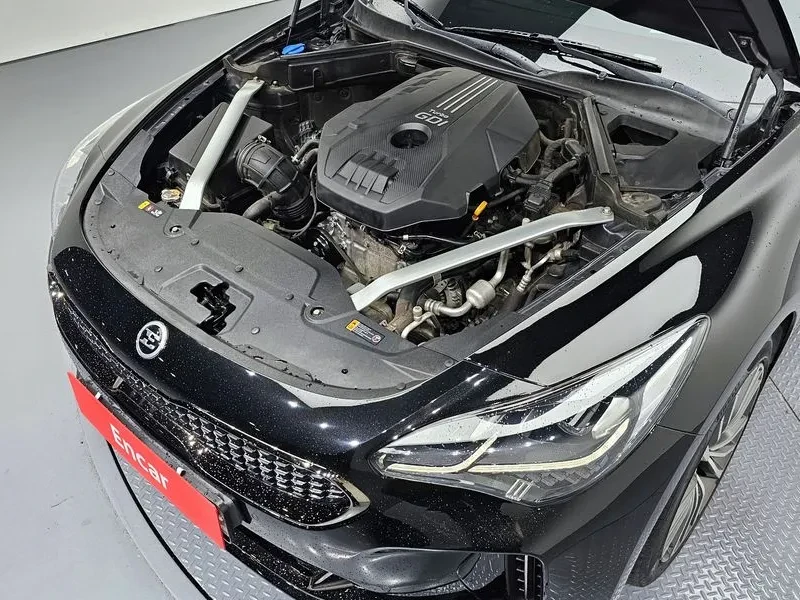 Kia Stinger 2.0 Turbo 2Wd Platinum, снимка 6 - Автомобили и джипове - 55090273