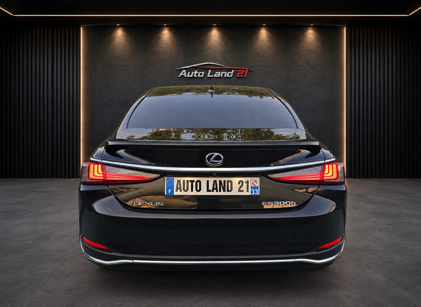 Lexus ES 300 LUXURY Premiium* FACE LIFT* Full Led* 68000�� | Mobile.bg � ����������� 8