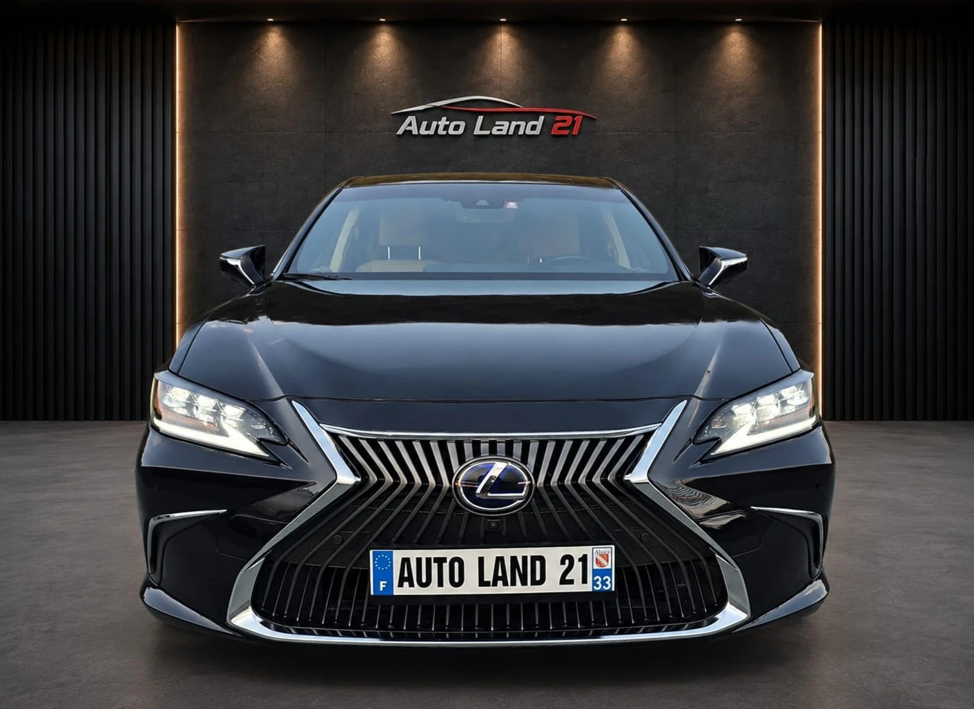 Lexus ES 300 LUXURY Premiium* FACE LIFT* Full Led* 68000км