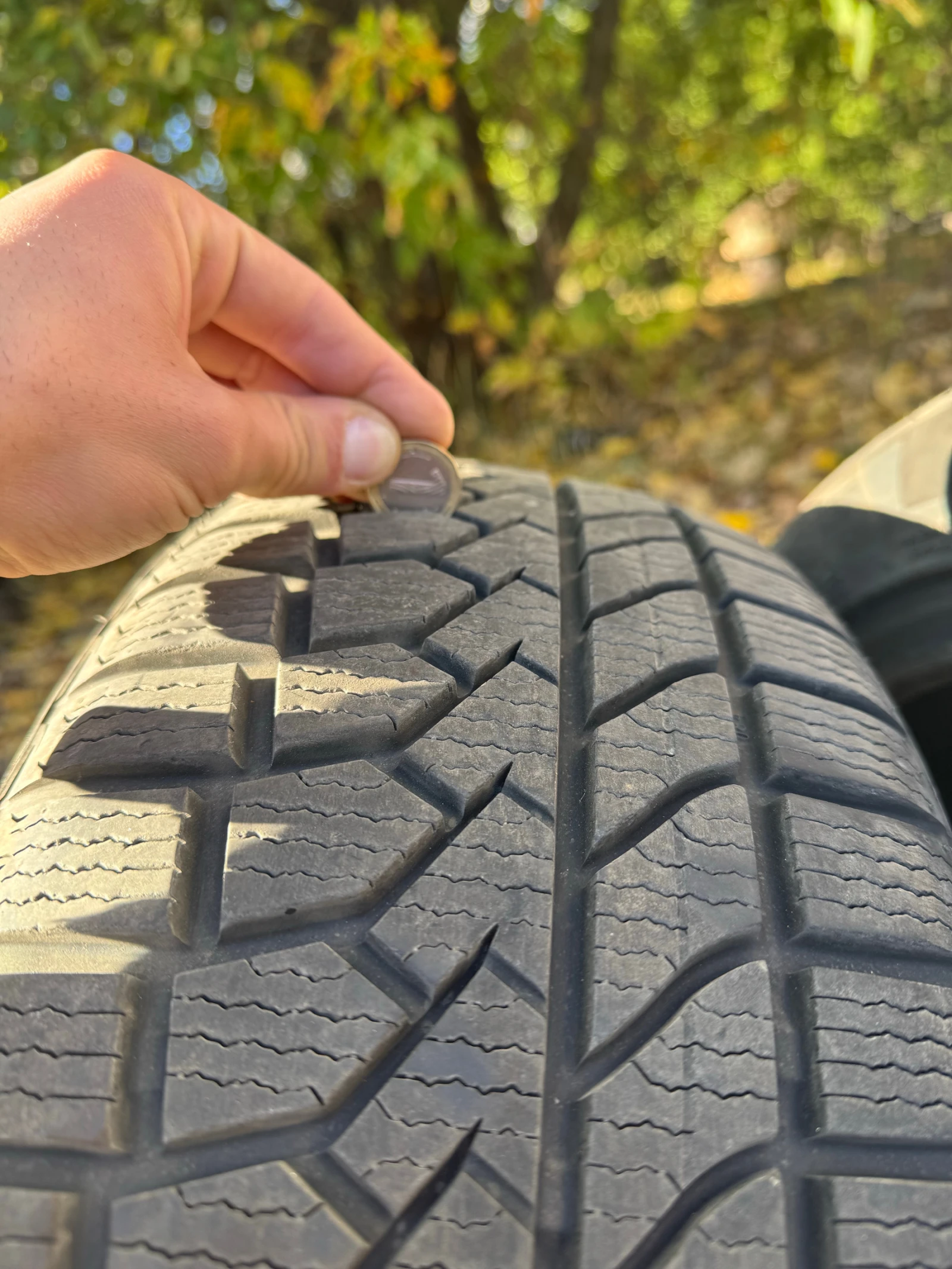 ���� 205/55R16 | Mobile.bg � ����������� 1