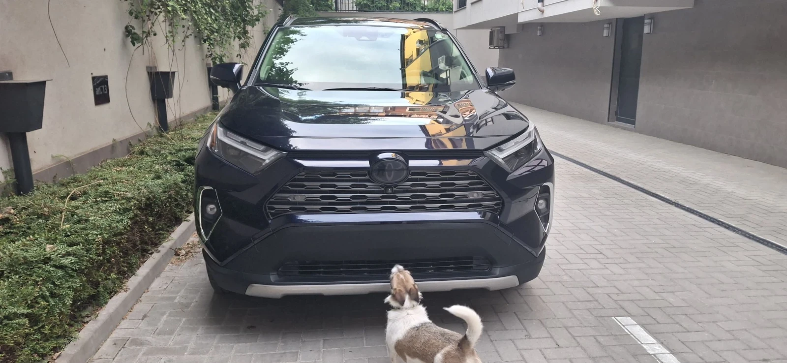 Toyota Rav4 Limited hybrid 2.5