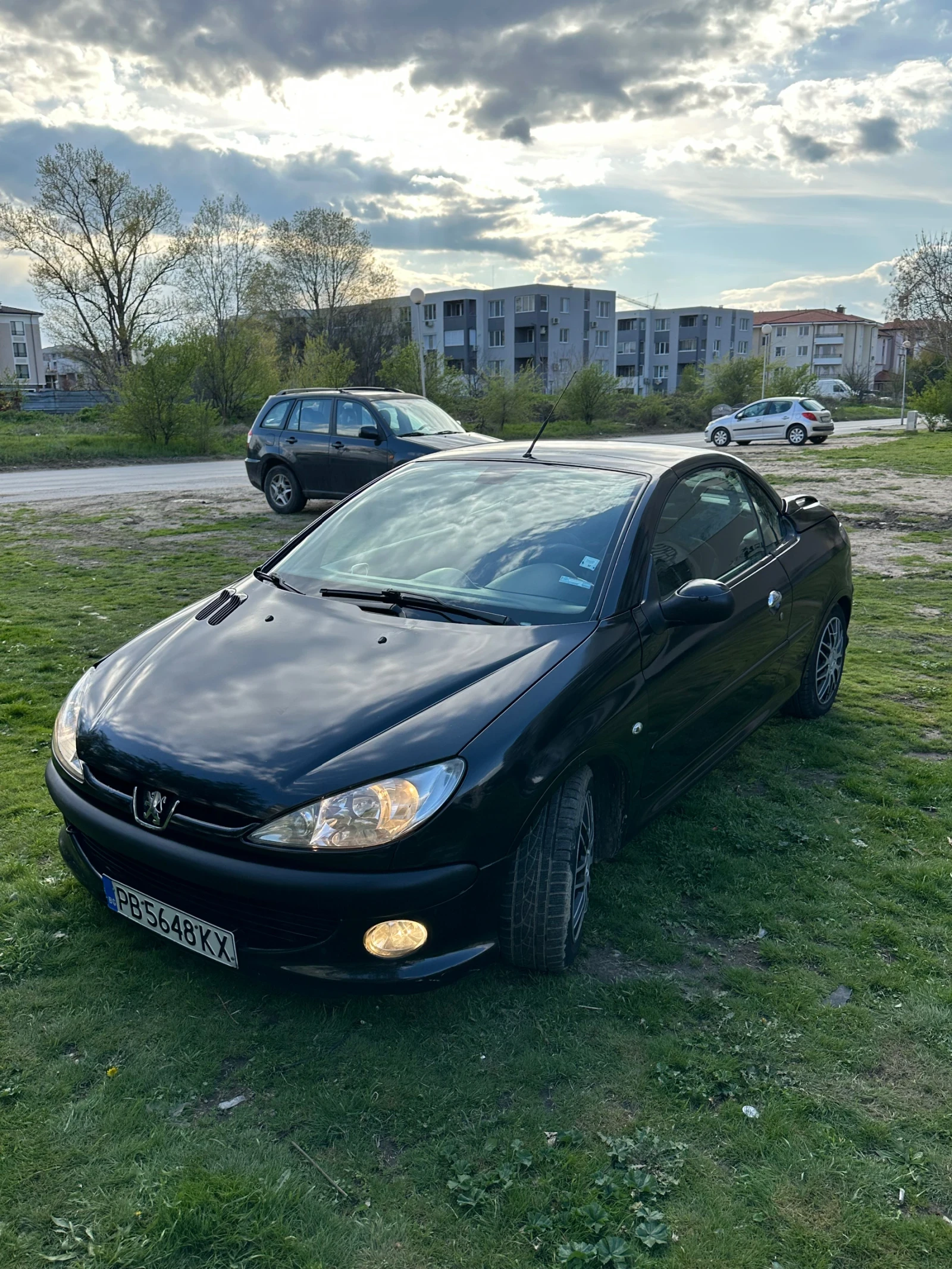 Peugeot 206  - изображение 5