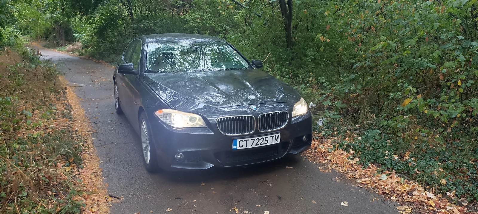 BMW 535 САМО ЗАДНО - изображение 5