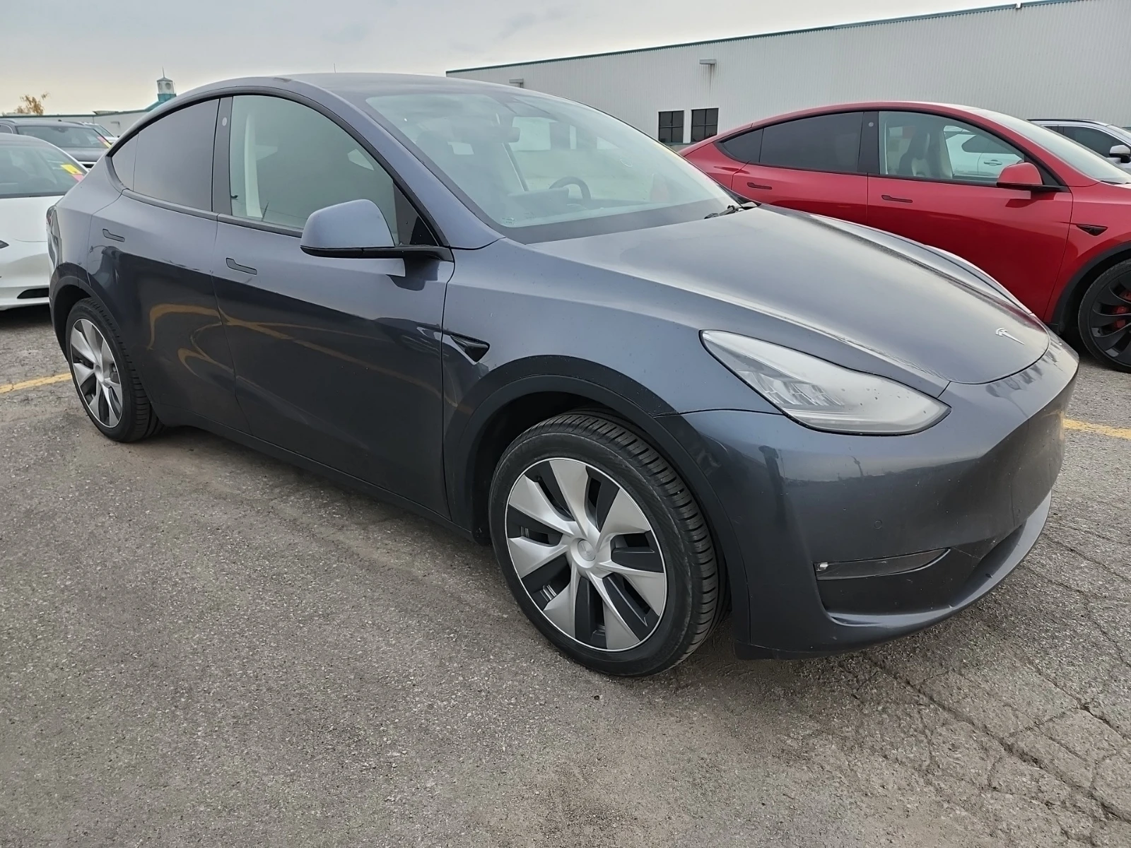 Tesla Model Y STANDARD RANGE, снимка 2 - Автомобили и джипове - 56716112