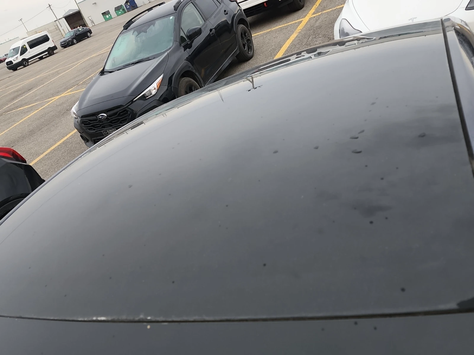 Tesla Model Y STANDARD RANGE, снимка 6 - Автомобили и джипове - 56716112