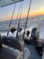Обява за продажба на Надуваема лодка Joker Boat Barracuda BARRACUDA 650 ~56 520 EUR - изображение 2