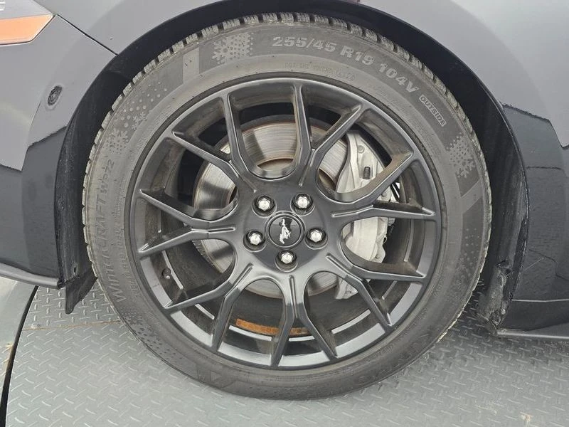Ford Mustang * 2.3* ECO* BOOST* ПОДГРЕВ* КАМЕРА* КЕЙЛЕС, снимка 5 - Автомобили и джипове - 55634477