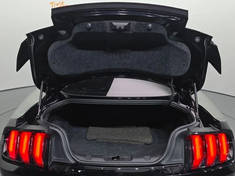 Ford Mustang * 2.3* ECO* BOOST* ПОДГРЕВ* КАМЕРА* КЕЙЛЕС, снимка 16 - Автомобили и джипове - 55634477