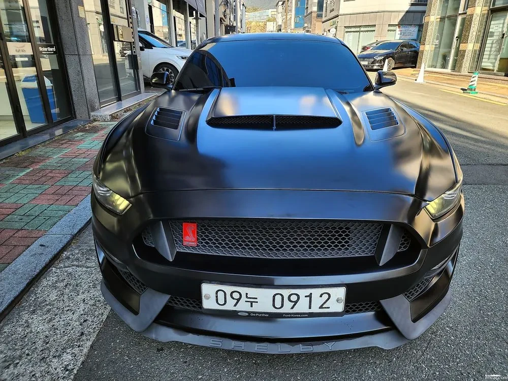 Ford Mustang SHELBY PKG / ОБДУХВАНЕ / ПОДГРЕВИ / Г. НАВИГАЦИЯ, снимка 2 - Автомобили и джипове - 53930350