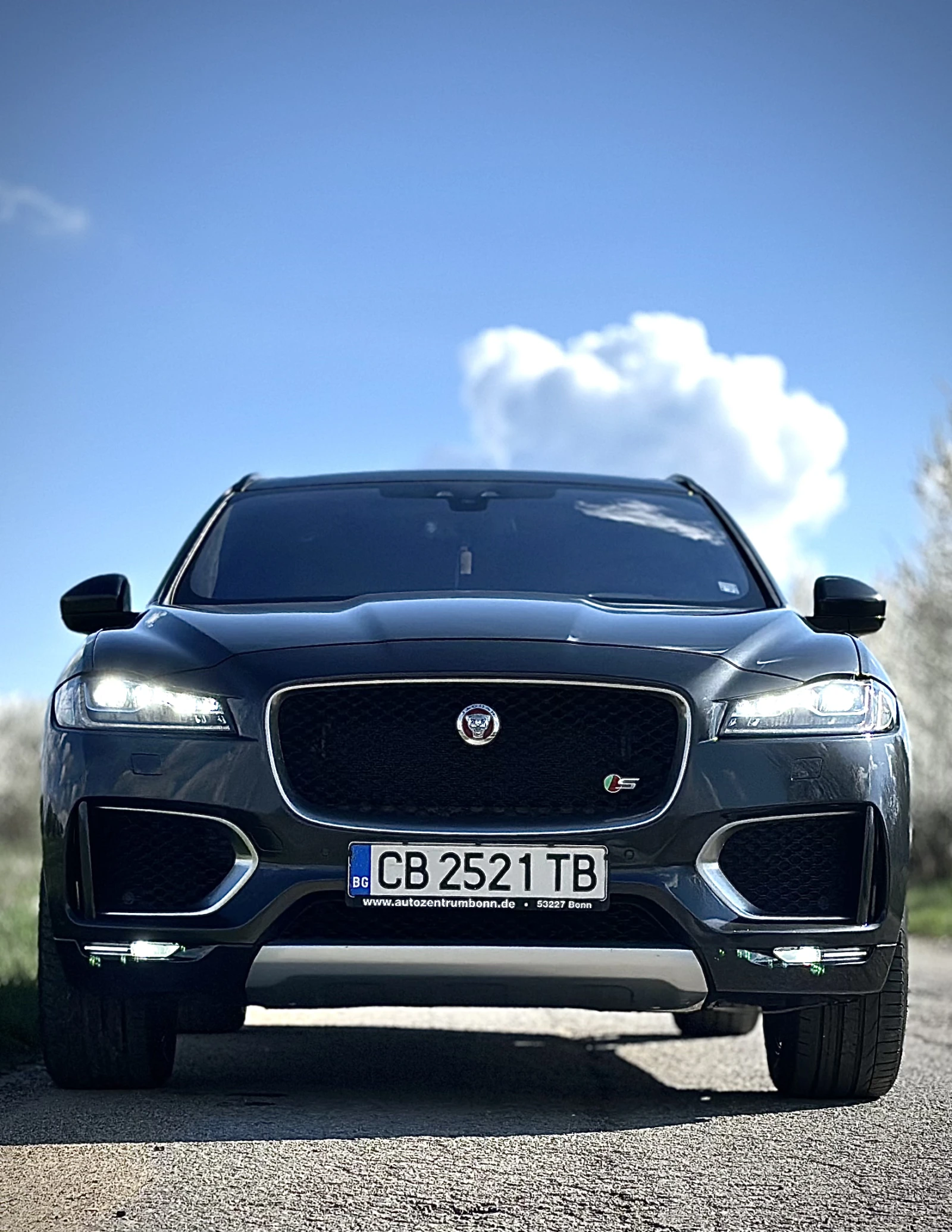 Jaguar F-PACE R-Sport/Рейлинг