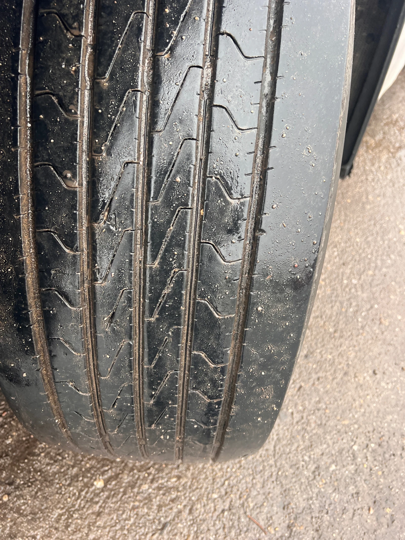 Man Tgs 26.480 | Mobile.bg   11