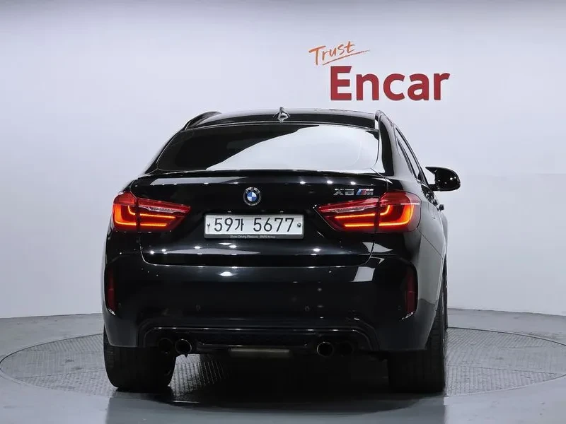 BMW X6 4.4 M Pack, снимка 4 - Автомобили и джипове - 56272103